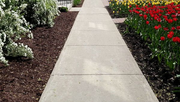 Cement Sidewalk Installation in Canton