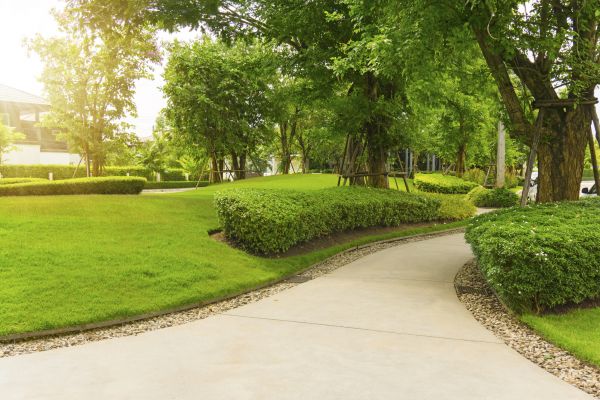 Walkway Concrete Installation in Canton