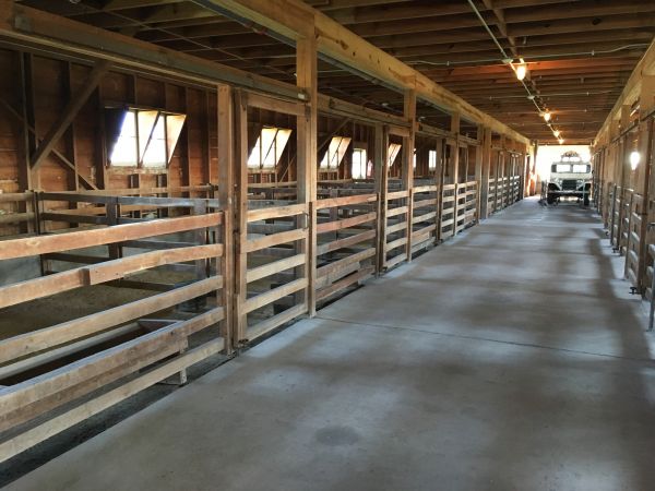 Barn Slab Construction in Canton