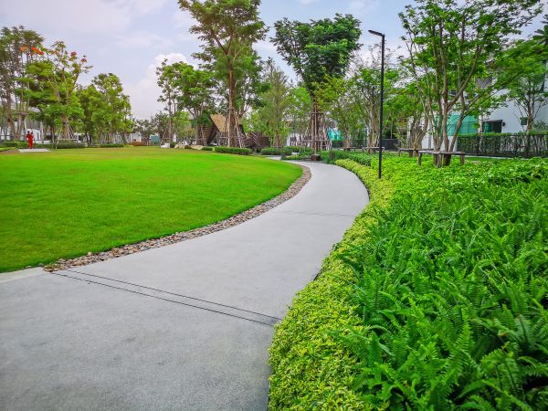Cement Walkway Service in Canton