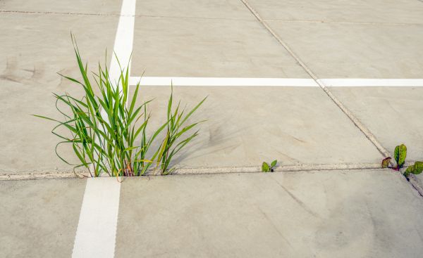 Concrete Parking Installation in Canton